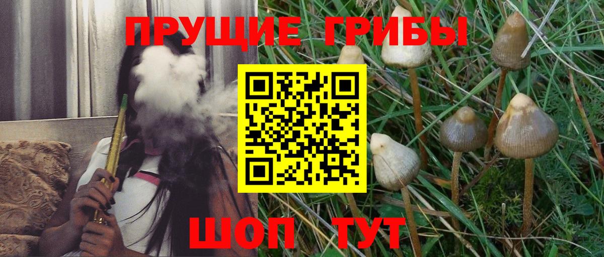 Псилоцибиновые грибы мухоморы Муравленко